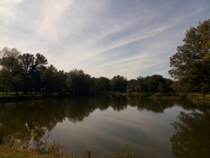 Park lake in Arkansas Post National Memorial