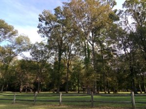 Pendleton Bend Park