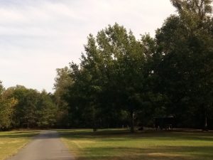 Wilbur D Mills Park