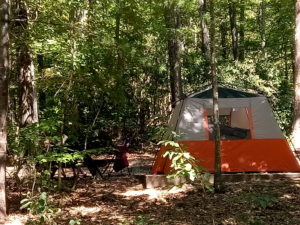 Ozark Trail 8 Person Instant Cabin Tent