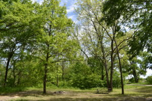 Marais des Cygne Wildlife Area